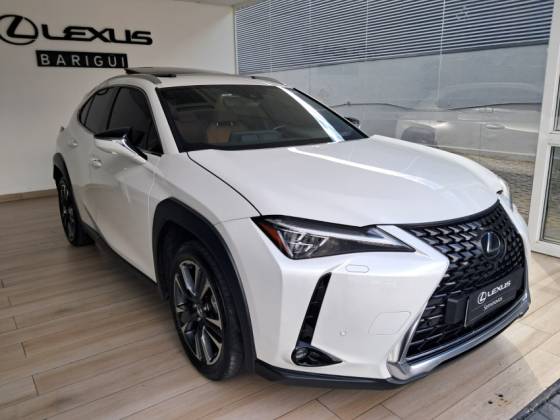 LEXUS UX 250h 2.0 VVT-I HYBRID LUXURY CVT